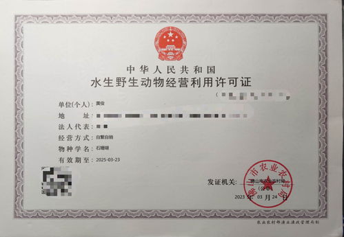 攜手專業力量，共拓水產健康養殖新篇章——誠邀各省市代理加盟
