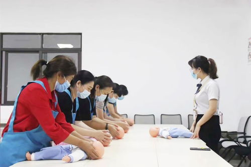 山城家政新風尚 為何「晨馨家政」領跑重慶住宿、鐘點及套餐服務？——開荒、月嫂...您的家庭服務全能管家